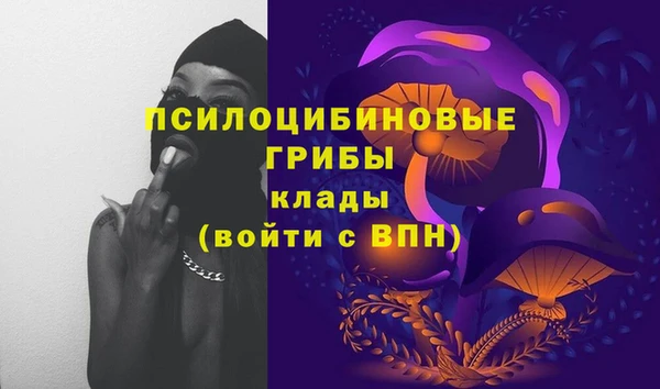 мяу мяу кристалл Елизово