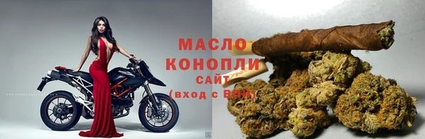apvp Ельня