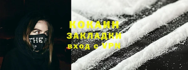 apvp Ельня