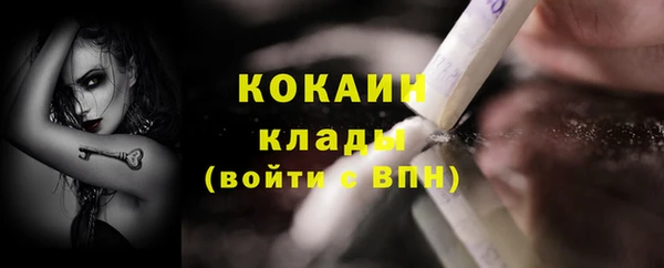 apvp Ельня