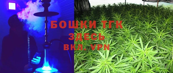 эйфоретик Дмитриев