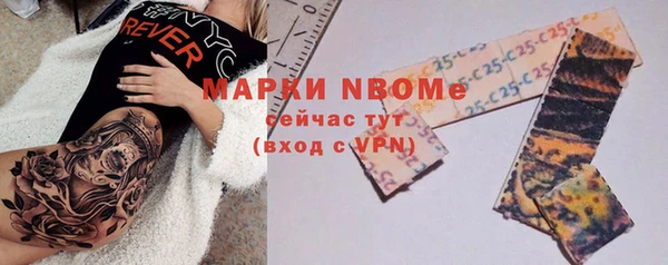 apvp Ельня