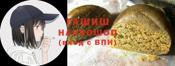 apvp Ельня