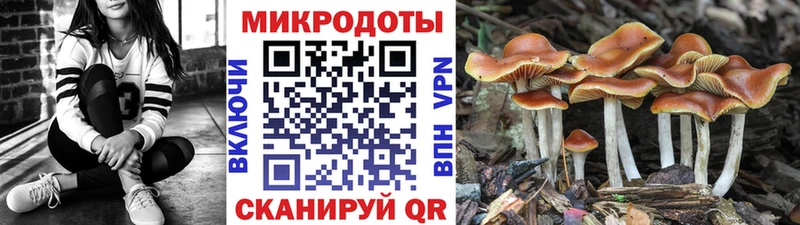 Псилоцибиновые грибы Magic Shrooms  Зверево 