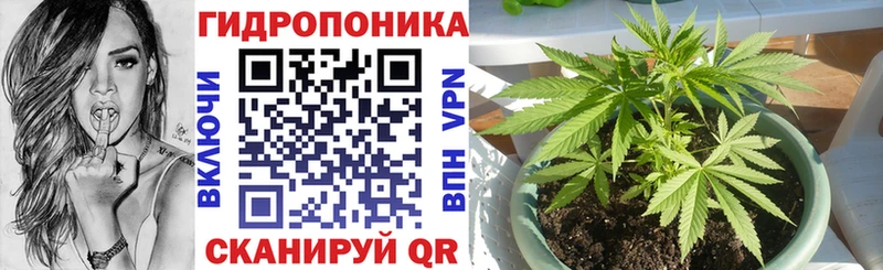 Бошки марихуана индика  цены наркотик  Зверево 